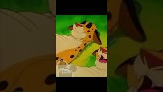 Cheetah Belly  #weightgain #fat #cartoon #foryou