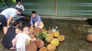 Decorate the house, harvest a lot of jackfruit to go to the market, take care of pets.