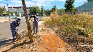 Decisively clean up nearly 1km of sidewalk covered with weeds near the tall buildings.