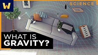 General Relativity and Gravity | What Einstein Discovered