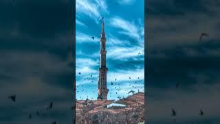 Beautiful Islamic TikTok Video #islamicstatus #beautifullslamic #tiktok #shorts #shortbeta