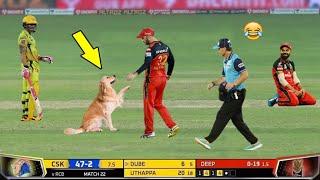 TOP 10  LATEST FUNNY MOMENTS IN CRICKET