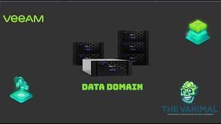 Using the Data Domain VE as a Repository in Veeam Backup and Replication v10a