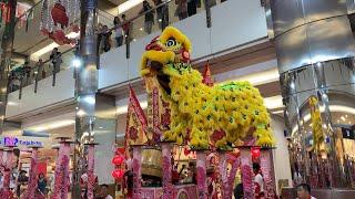 Lion Dance Performance at Harbourfront Singapore - 7 February 2019