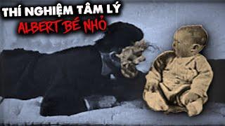 THÍ NGHIỆM ĐEN TỐI: ALBERT BÉ NHỎ - THỬ NGHIỆM TÂM LÝ (Phim Tài Liệu - Giải Thích)