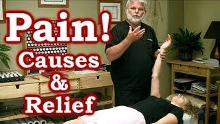 Pain: Causes & Relief, Pain Referral, Muscle Testing Demonstration by Austin Chiropractor