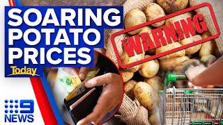 Latest cost-of-living-blow sees potato prices skyrocket | 9 News Australia