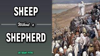 Sheep Without a Shepherd