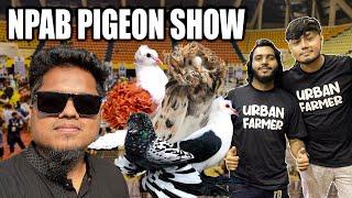 NPAB Pigeon Show তে একদিন সাথে ছিলেন @ornofpets @DoggoSage ও আরো অনেকে