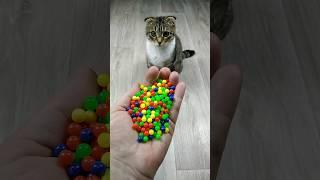  Beads  Reverse Video ASMR #reverse #asmr