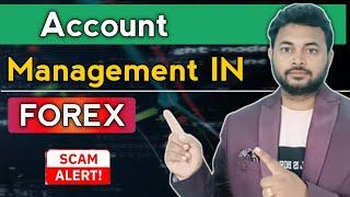 Forex Account Management Services| Pure Scam | $7000 Loss In 1 Month