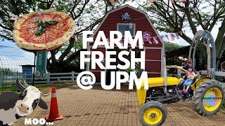 Best Tak Farm Fresh UPM | The Acre by Farm Fresh | Ladang Lembu Serdang Upm | Cuti Bersama Keluarga