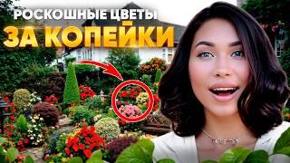 25 САМЫХ лучших цветов для своего роскошного сада!