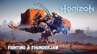 Acer predator helios 300 i9 12th gen RTX 3060 - Horizon Zero Dawn GamePlay