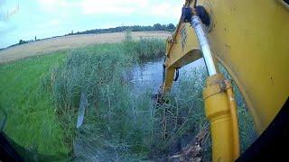 Accelerated cleaning of an overgrown pond