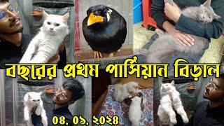 পার্সিয়ান বিড়াল দাম-২০২৫ || Persian cat price || Mirpur cat market || cat price bd