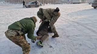 Спецоперация ФСБ России: задержано 49 пособников террористов