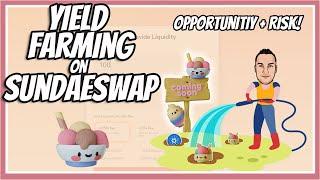 Sundaeswap Yield Farming and Basics of Providing Liquidity!