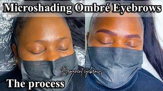 Microshading Ombre Eyebrows step by step Process | Permanent Eyebrows #microshading