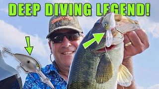 Why THIS Deep Diving Crankbait Should Be Your TOP Pick (NEW Color Release)