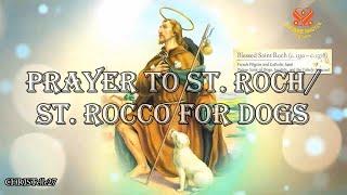 Prayer to St. Roch For Dogs