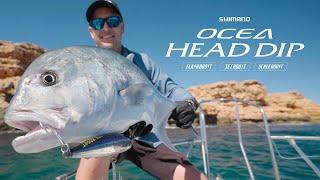 How to fish the Ocea Head Dip FlashBoost stickbaits!