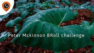 Peter McKinnon BRoll Challenge from India | #PMBROLLCHALLENGE