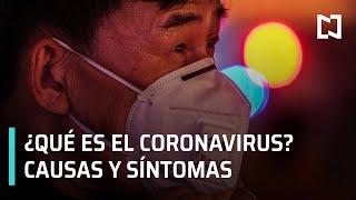 ¿Qué es el coronavirus? | COVID-19 | Causas y síntomas