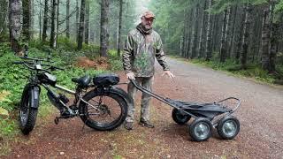 Hawk Crawler E Bike Trailer