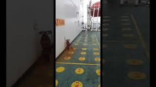 muster station on tanker Vessel and lifeboat launching procedure