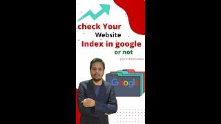 How to check Your website index in google?