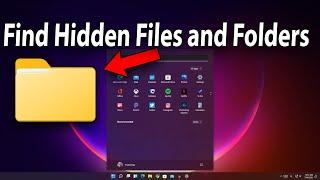 How To Find Hidden Files and Folders in Windows 11