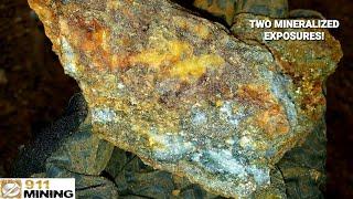 Gold, Magnetite, Chalcopyrite, Pyrite & Quartz In Two Parallel Veins!