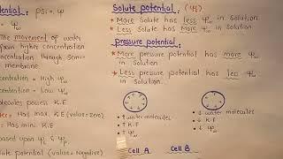 Water Potential | Solute And Pressure Potential | Class 11
