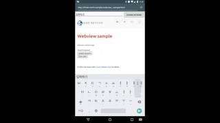 [Android Developer] Android Webview javascript interface sample