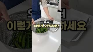 식재료 오래보관 하는방법 3가지 #살림팁 #살림 #식재료보관