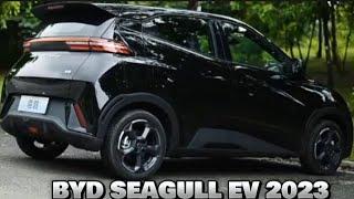 THE ALL - NEW 2023 BYD SEAGULL EV- Test Drive, Exterior And Interior.