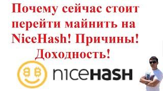 Почему сейчас стоит перейти майнить на NiceHash! Причины! Доходность!