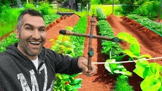 Water Your Garden EASILY With DIY Drip Irrigation!