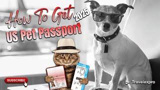 How to Get a US Pet Passport in 2025 ️ | Stress-Free Pet Travel Guide!