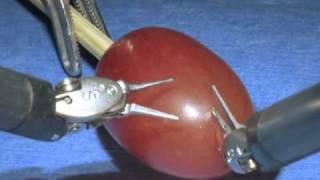 da Vinci Surgical System: Surgery on a grape