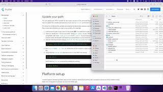 1- install Flutter on macOS