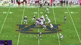 Jeremy Johnson vs. Arkansas (2014)