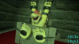 [TEN SECONDS OF TICKLE] - BOWSER