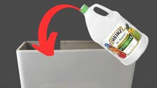 What ACTUALLY Happens When You Pour Vinegar in a Toilet?