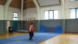 Wushu Jumps (Changquan Nandu) by Julian Gangl