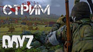 ВЫЖИВАНИЕ В DayZ ‍️ ОБЩЕНИЕ С ПОДПИСЧИКАМИ GACHIMUCHI