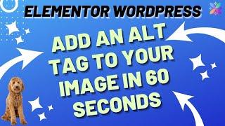 WordPress Elementor - Add an ALT Tag to your image.