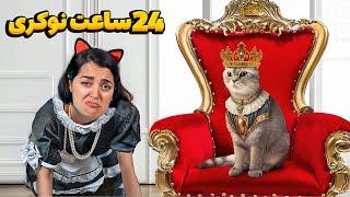 برای گربه هام ۲۴ ساعت نوکری کردم  سلطان مایکی و فی‌فی خاتون