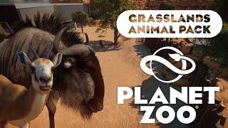 Blue Wildebeest || Grassland Animal Pack || Planet Zoo Speed Build (ft. Springbok)
